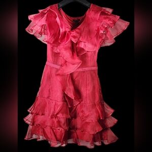 Elegant Red Ruffled Kids Costume